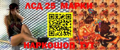 гашик Новокубанск