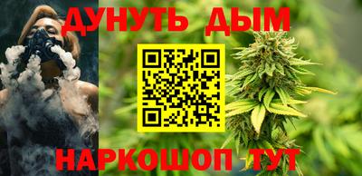 соль ск Новозыбков