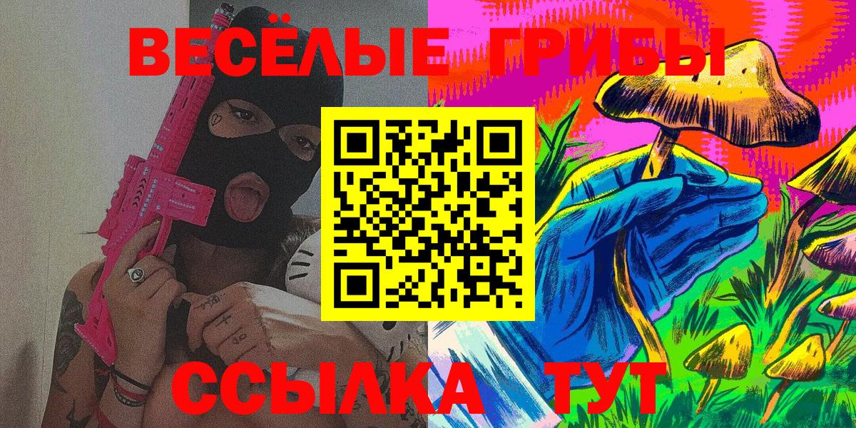 Галлюциногенные грибы Cubensis Сланцы